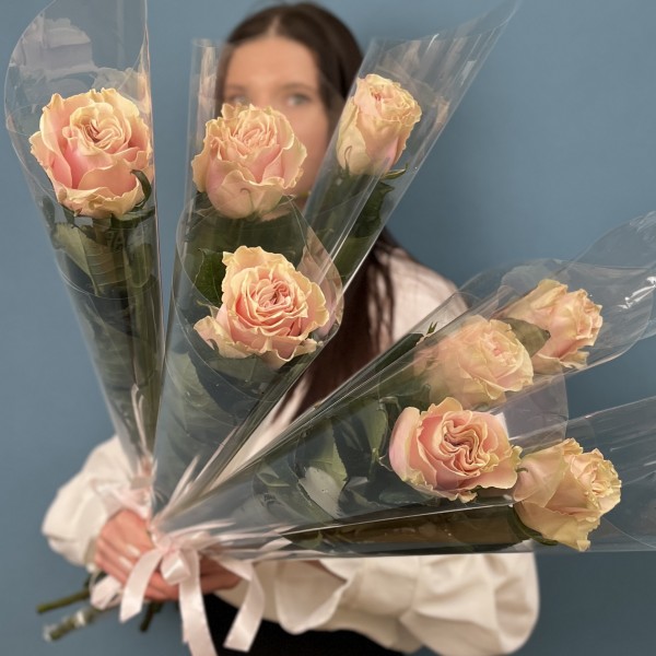 1 роза Пинк  Мондиаль 60 см