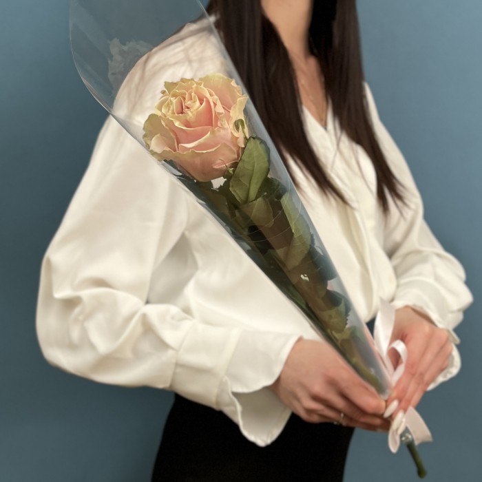 1 роза Пинк  Мондиаль 60 см