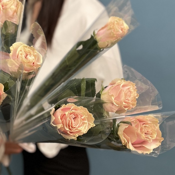 1 роза Пинк  Мондиаль 60 см