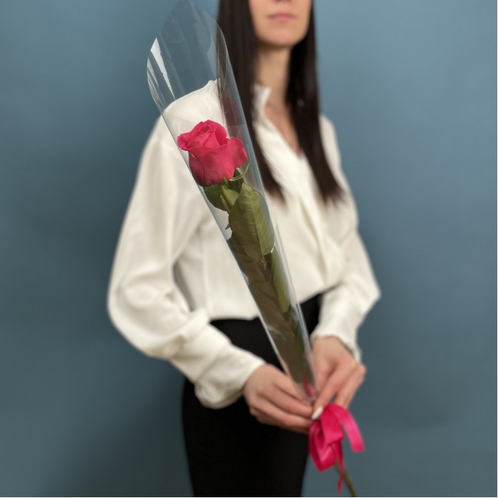 1 малиновая роза Пинк Флойд 60 см