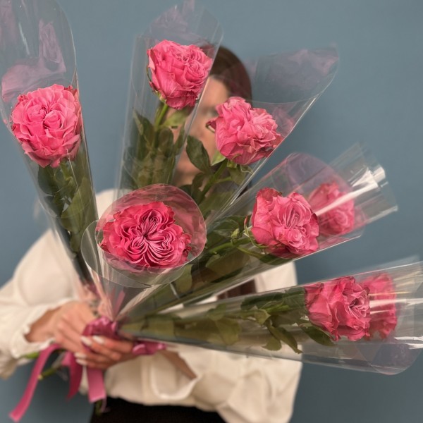 1 сиреневая роза Кантри блюс 60 см