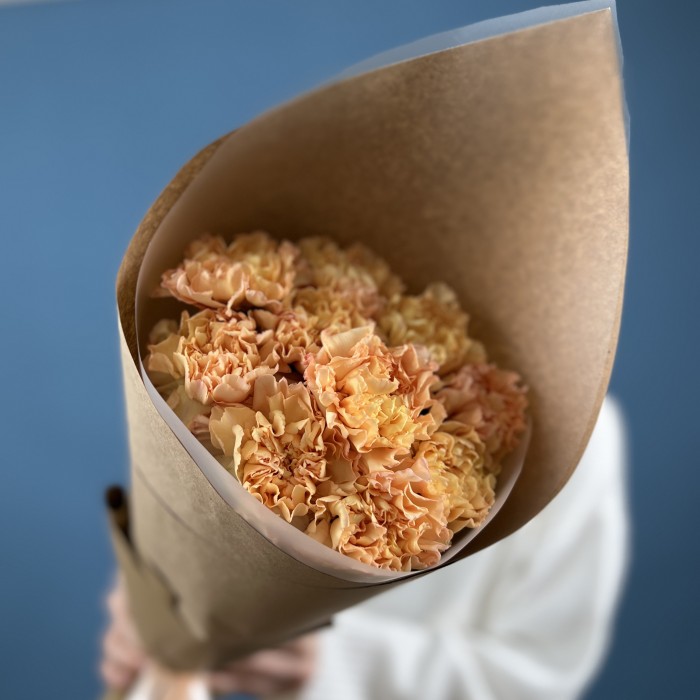 11 оранжевых гвоздик