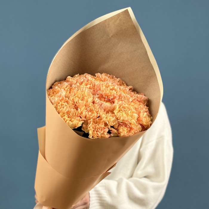 25 оранжевых гвоздик