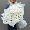 25 белых кустовых хризантем Бакарди