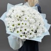 25 белых кустовых хризантем Бакарди