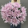 15 сиреневых игольчатых хризантем Каприоль
