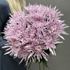 15 сиреневых игольчатых хризантем Каприоль