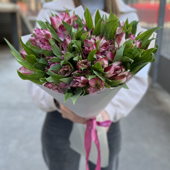 11 малиновых Альстромерий