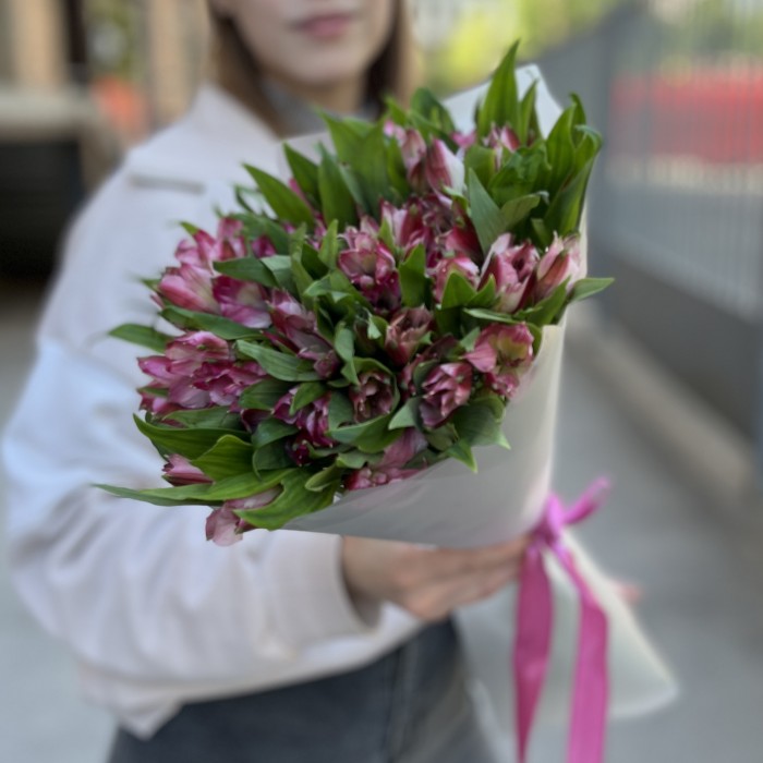 11 малиновых Альстромерий