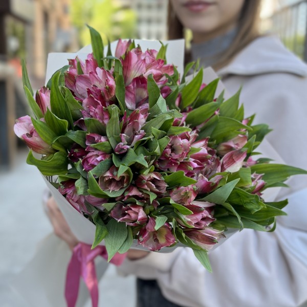 11 малиновых Альстромерий