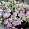 15 бело-розовых махровых эустом