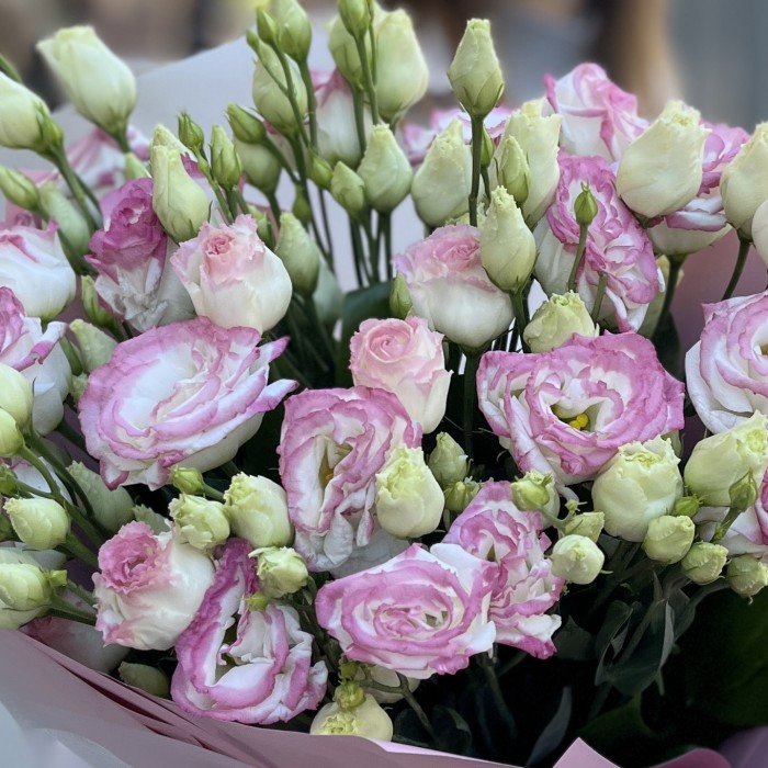 15 бело-розовых махровых эустом