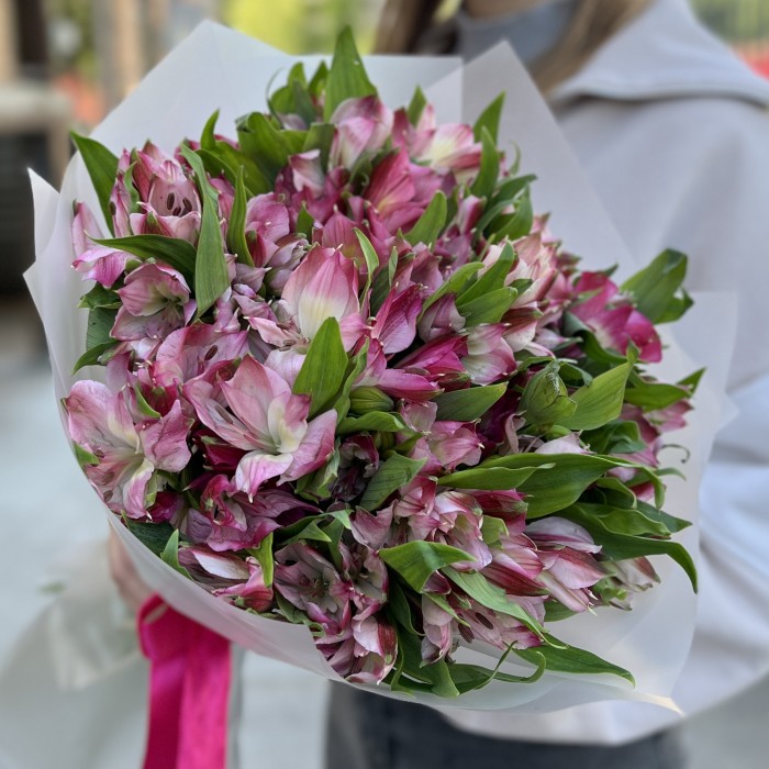 15 малиновых альстромерий