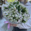 35 бело-фиолетовых альстромерий