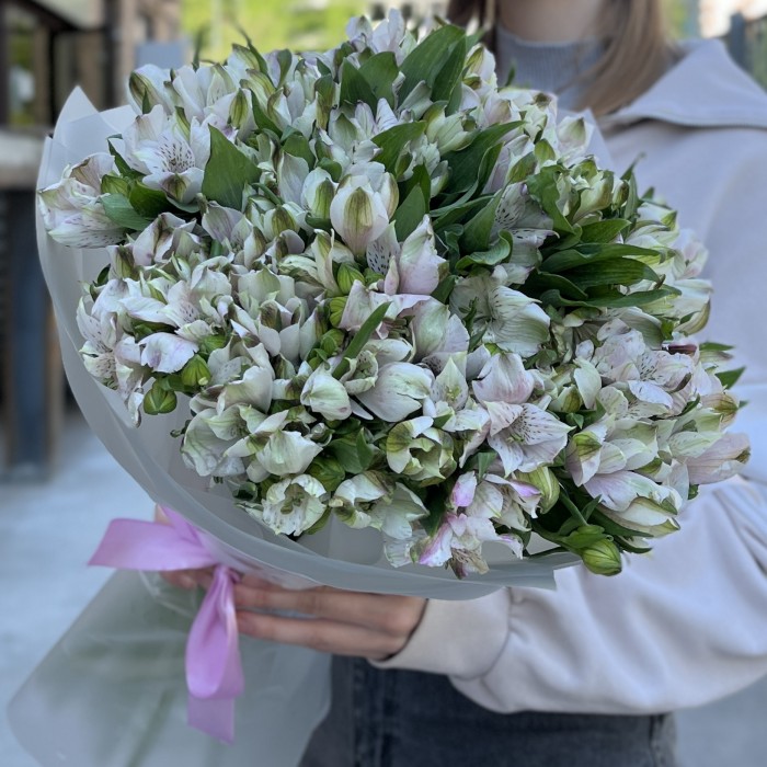 35 бело-фиолетовых альстромерий