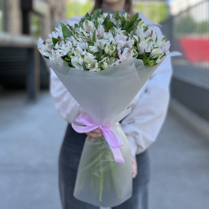 35 бело-фиолетовых альстромерий