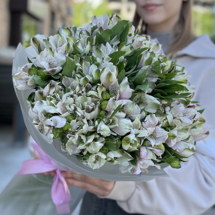 35 бело-фиолетовых альстромерий