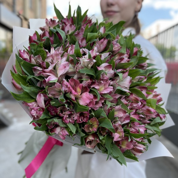 35 малиновых альстромерий