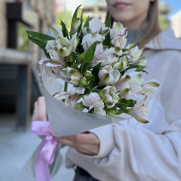 7 бело-фиолетовых альстромерий