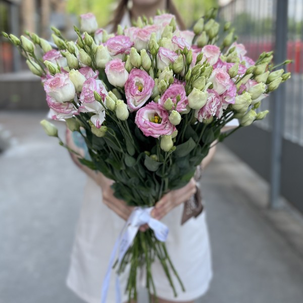 Эустома махровая бело-розовая