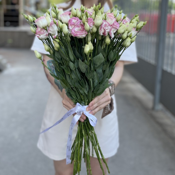 Эустома махровая бело-розовая