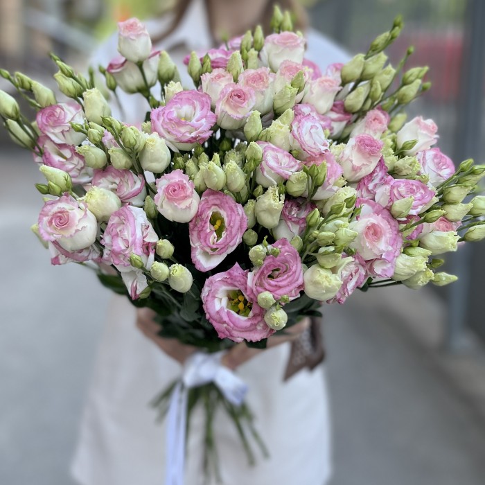 Эустома махровая бело-розовая