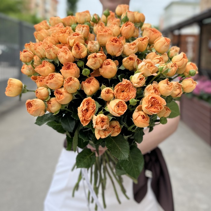 Кустовая пионовидная оранжевая Роза Оранж Трендсеттер 50см