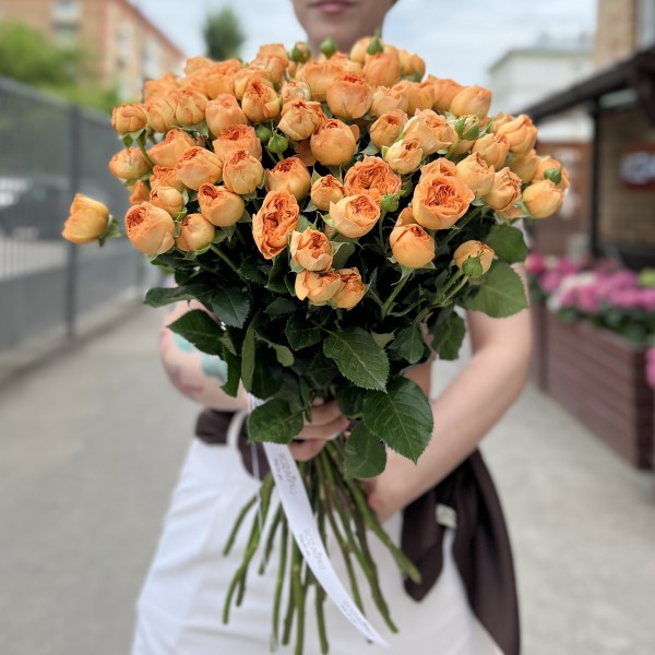 Кустовая пионовидная оранжевая Роза Оранж Трендсеттер 50см