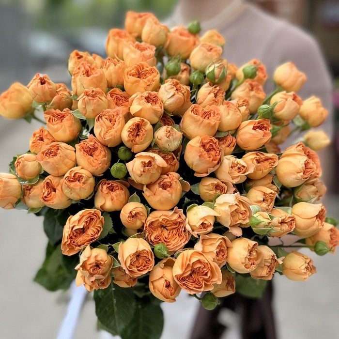 Кустовая пионовидная оранжевая Роза Оранж Трендсеттер 50см