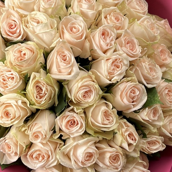 Букет дня 51 роза