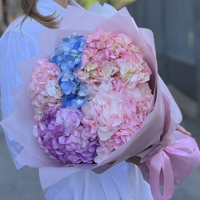 5 нежных гортензий микс