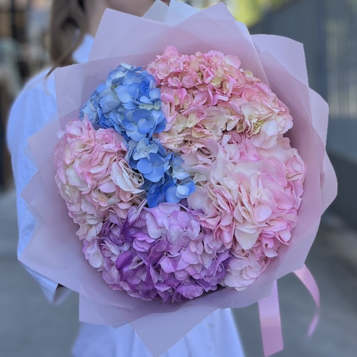 5 нежных гортензий микс