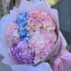 5 нежных гортензий микс