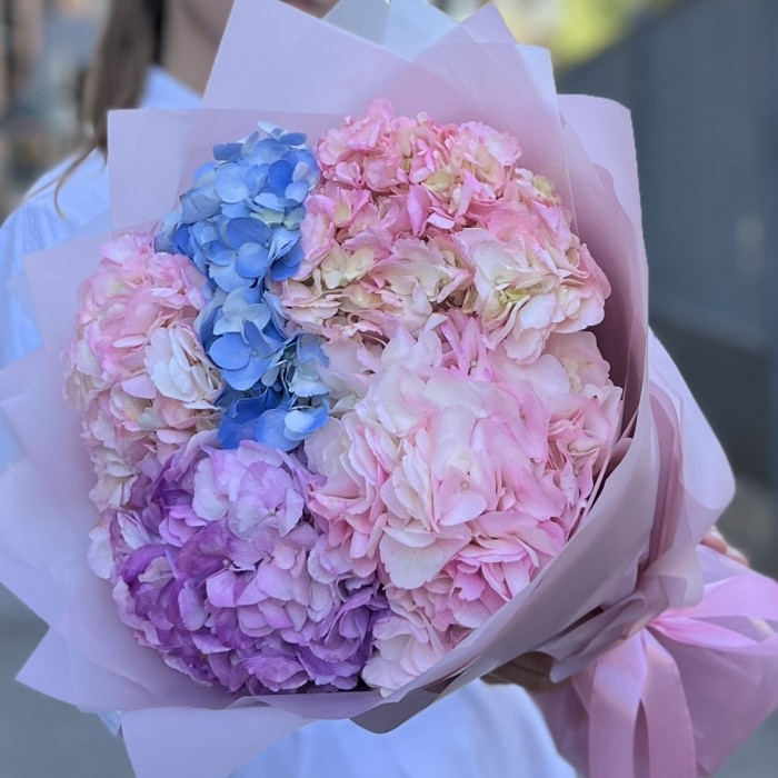 5 нежных гортензий микс