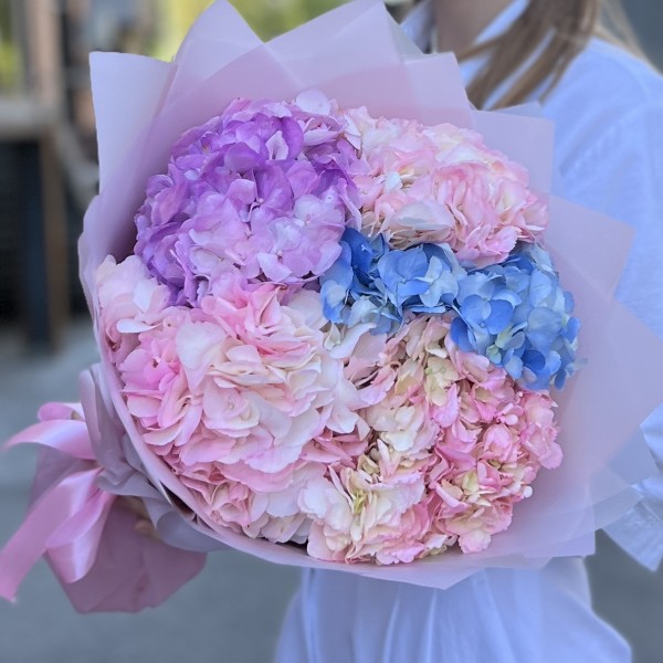 5 нежных гортензий микс