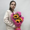 3 подсолнуха с астранцией