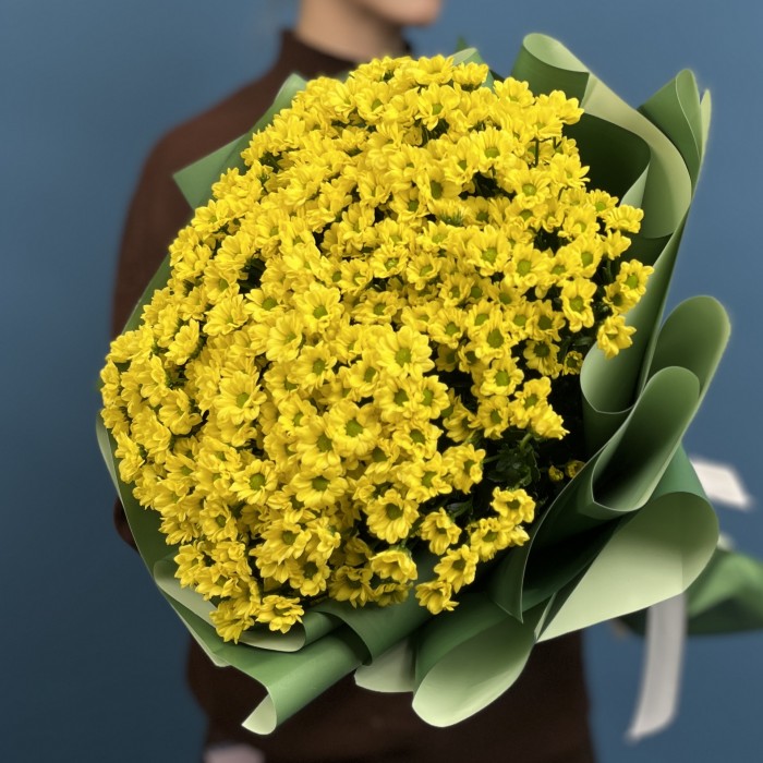 11 желтых хризантем сантини