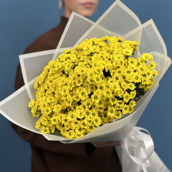 15 желтых хризантем сантини