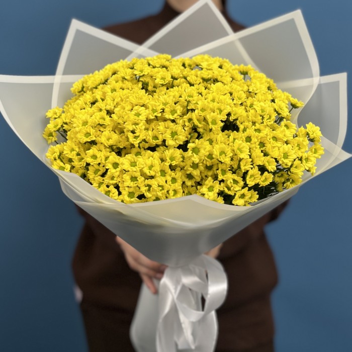 15 желтых хризантем сантини