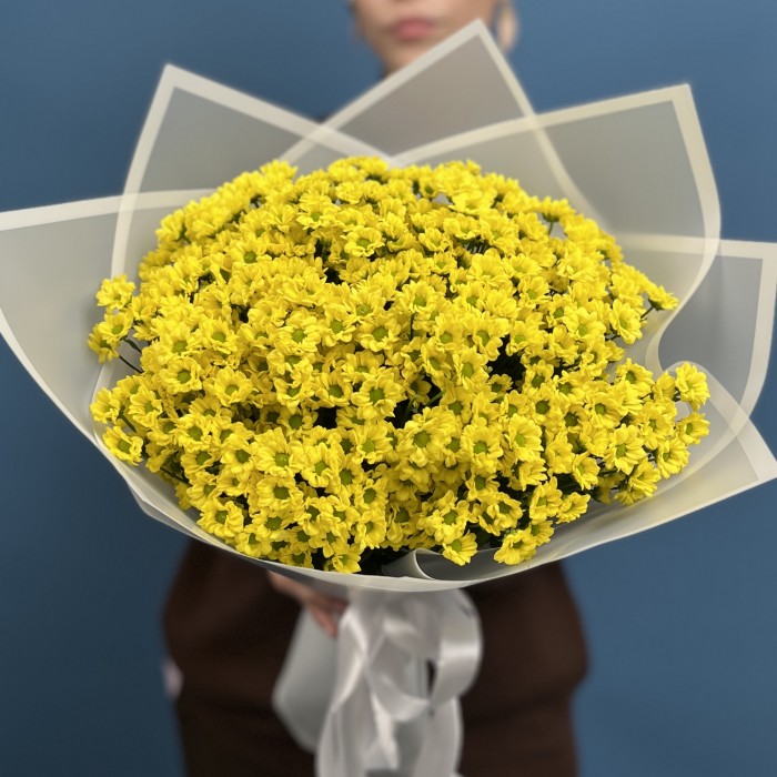 15 желтых хризантем сантини