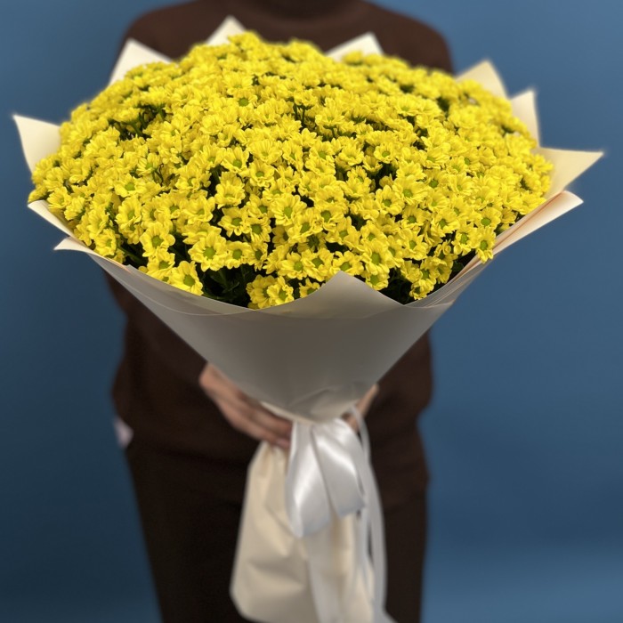 25 желтых хризантем сантини