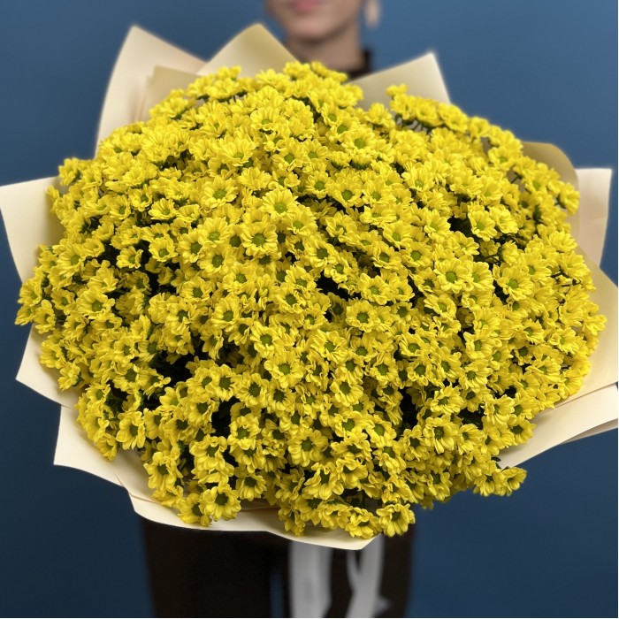 25 желтых хризантем сантини