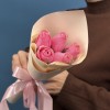 5 розовых роз Селеб 40 см