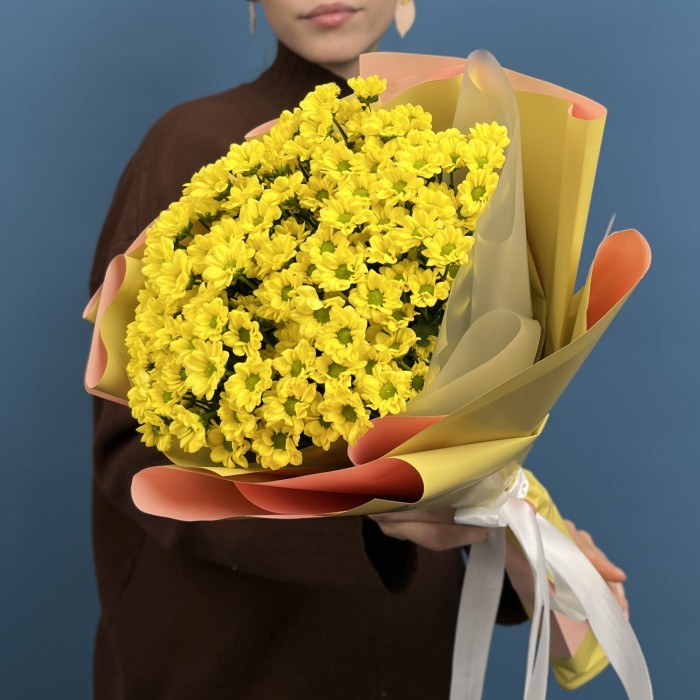 5 желтых хризантем Сантини