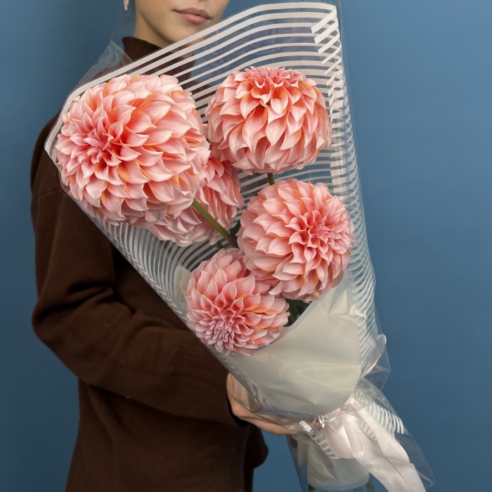 5 лососевых Георгин для Любимой