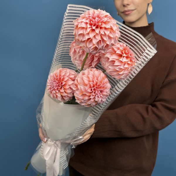 5 лососевых Георгин для Любимой