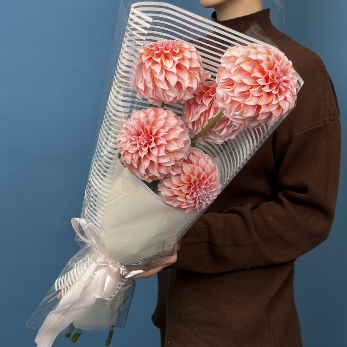 5 лососевых Георгин для Любимой