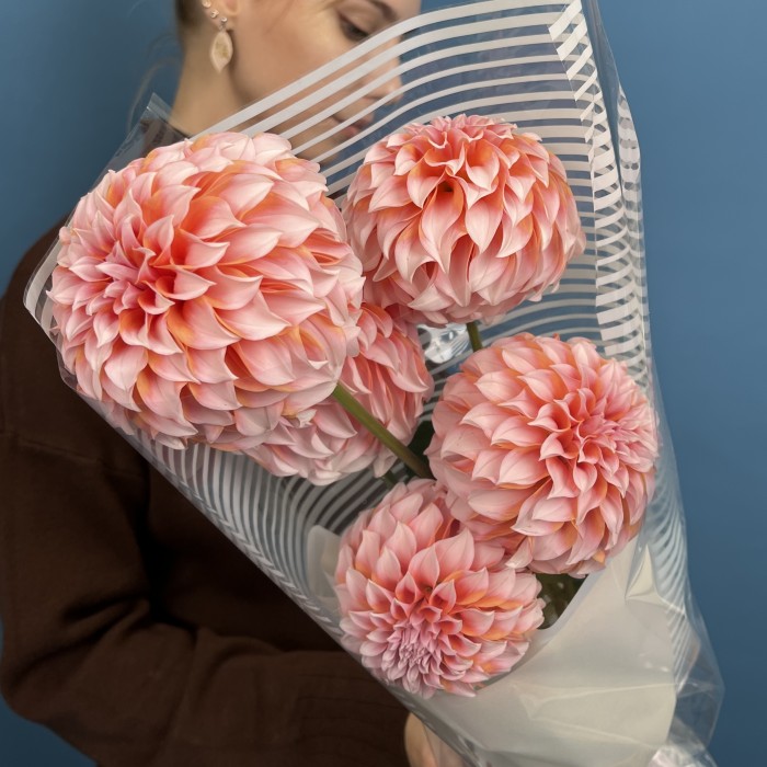 5 лососевых Георгин для Любимой