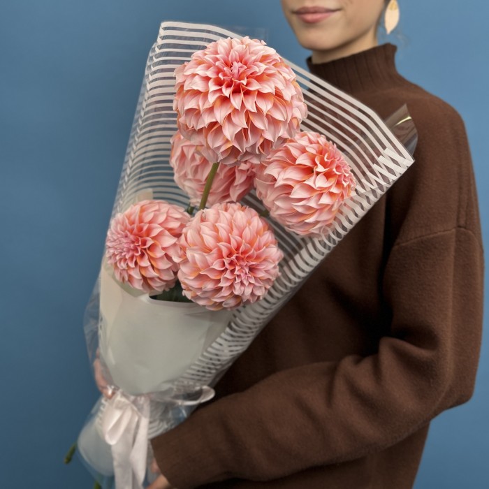 5 лососевых Георгин для Любимой