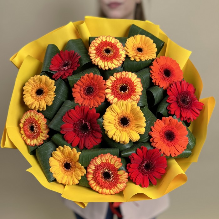 15 гербер микс с аспидистрой